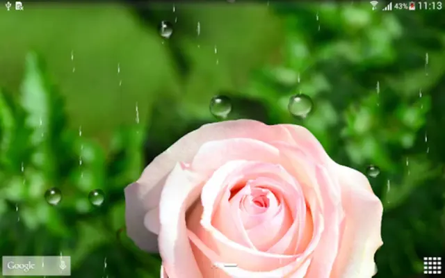 Roses Live Wallpaper android App screenshot 2