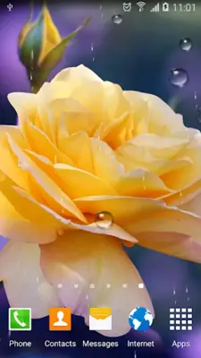 Roses Live Wallpaper android App screenshot 8